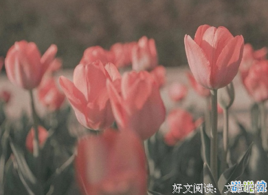 采撷偶遇的句子