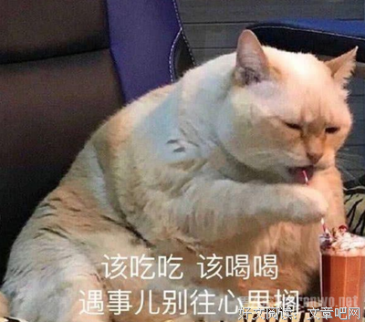 好有道理！句子大全