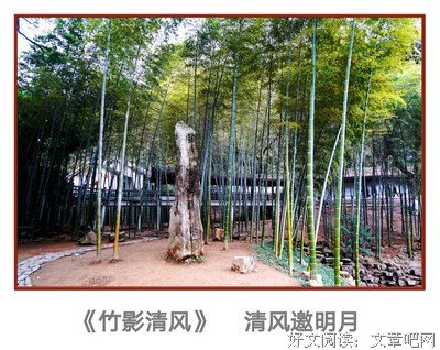 《邀明月，寄清风》的句子