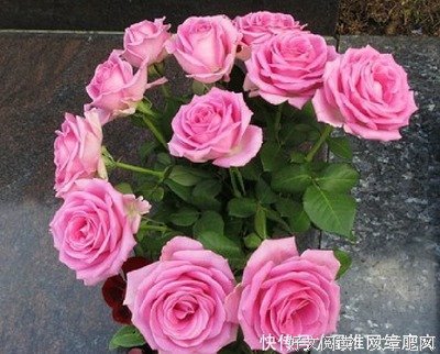 不经意间句子大全