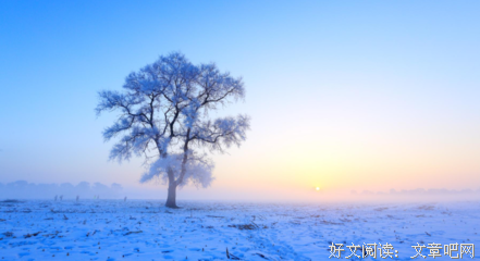 《雪》的句子