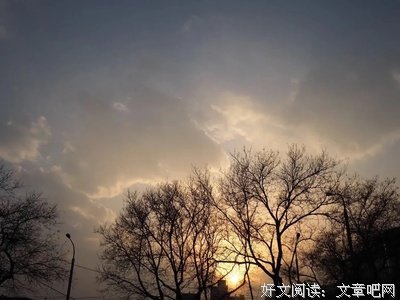 心寂犹似远山火读后感锦集