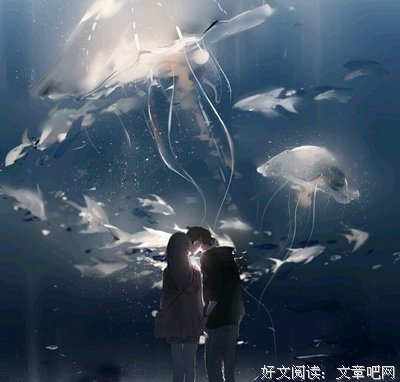 等风来句子大全