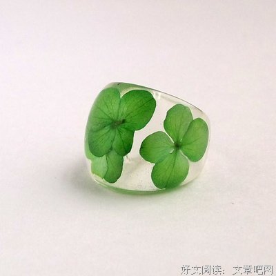 逗比老师的经典搞笑语录