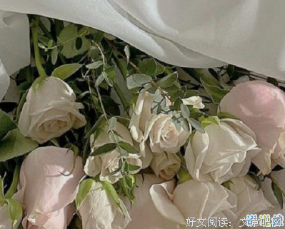 有关为你而生的句子