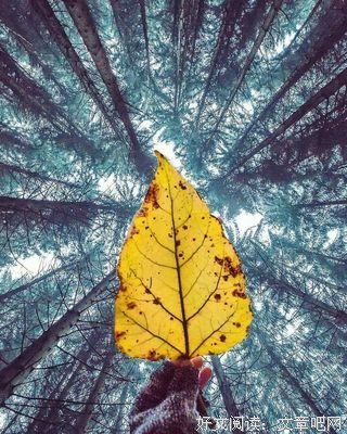 逆旅行人句子大全