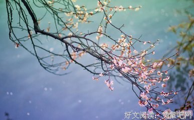 期待的句子