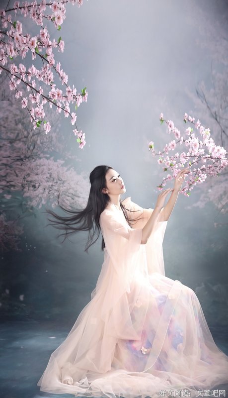 《三生三世十里桃花》的句子