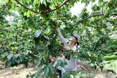 2021鹤相欢名句欣赏