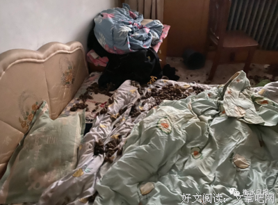 《污秽与愤怒》经典影评1000字