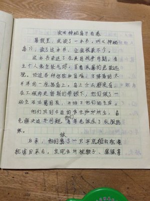 《神秘岛》的观后感大全