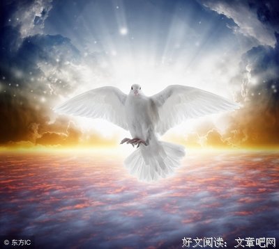 《自由意志》经典观后感1000字