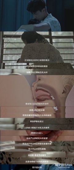 《梦魇疯人院》经典影评1000字