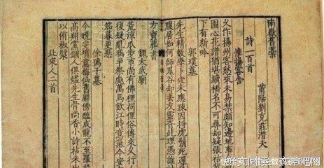《仅此一生》读后感摘抄