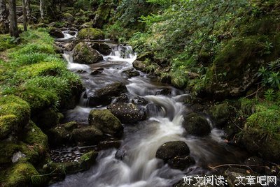 荒野之境读后感100字