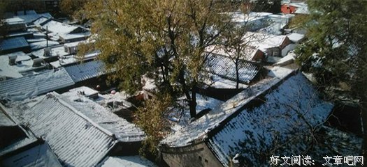 八道湾十一号读后感锦集