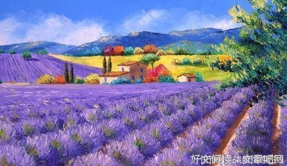 在没愿心相知 和西就能在言也温柔的句子