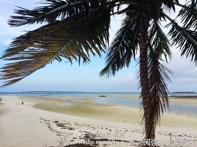 《坦桑尼亚，那片蓝得要碎掉的天》的读后感大全