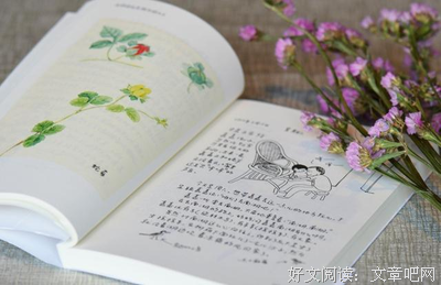 和妈妈如影随形的日子读后感摘抄