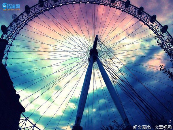 《爱在飞翔》观后感摘抄