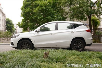 《心中的野兽》经典观后感1000字