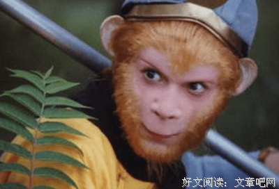 《和喜欢的一切在一起》读后感100字