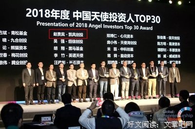 《做自己的天使投资人》读后感100字