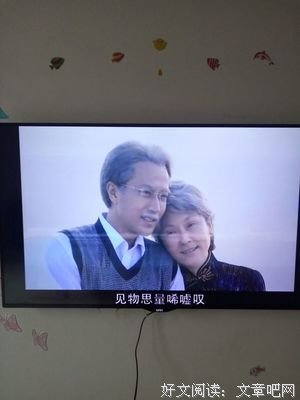 《洋行》的观后感大全