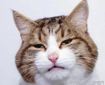 关于走了就别回来了的句子