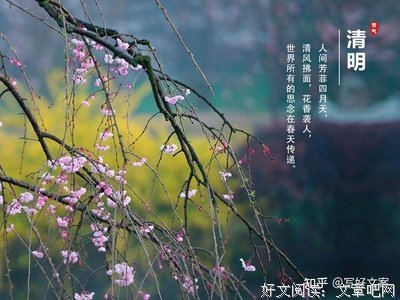 关于走心的优美句子