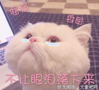 全职中们数小事手句子大全
