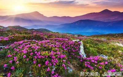 哲理经典的句子