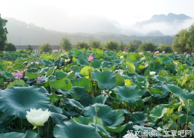 关于无言的优美句子