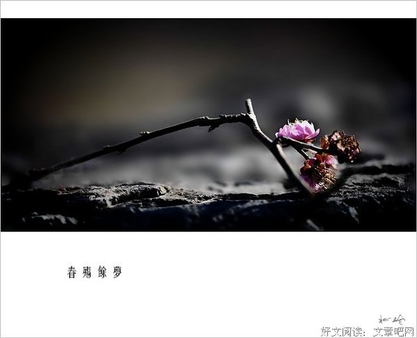 殇句子