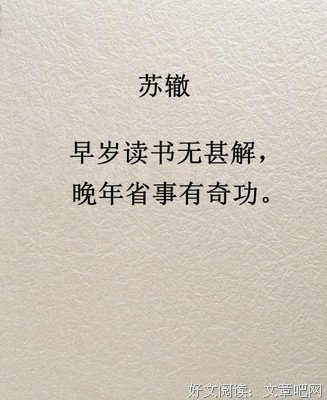 关于三毛的句子