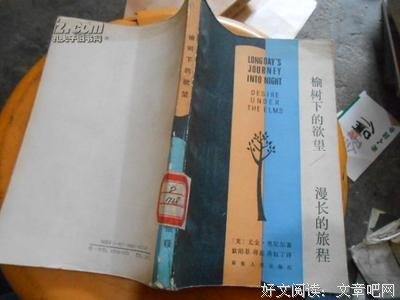 榆树下的欲望 漫长的旅程的读后感大全