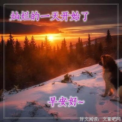 最新的《人生不设限》经典的句子