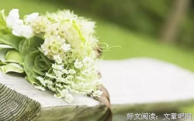最新的《人间是剧场》佳句摘抄