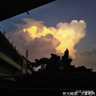最经典的《他还是不懂》经典句子大全