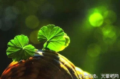 最全的《余秋雨散文》佳句摘抄