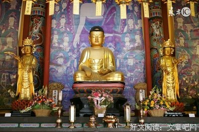 最全的《佛度有缘人》佳句摘抄