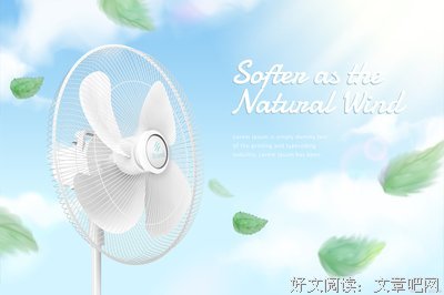 《电风扇和花》经典观后感有感