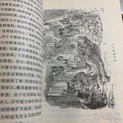 《荒凉山庄》经典观后感有感