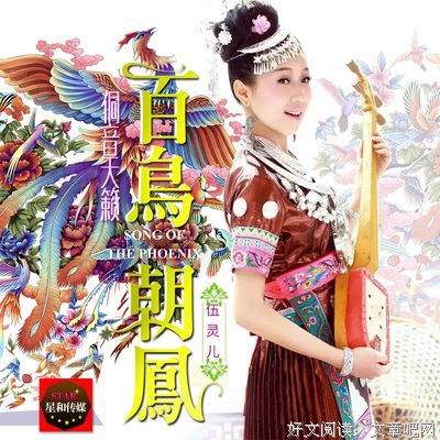 《鸟！鸟！鸟！》的观后感大全