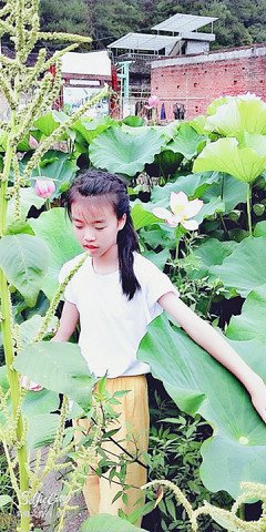 《吃货绘旅行》经典读后感有感