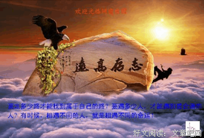 《命运》读后感精选