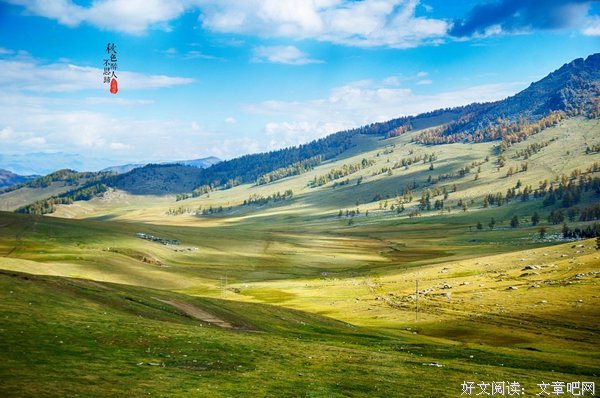 《奔跑的乌龟》影评摘抄