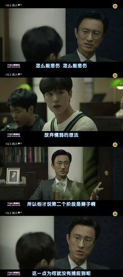 《猫的天空之城》读后感100字