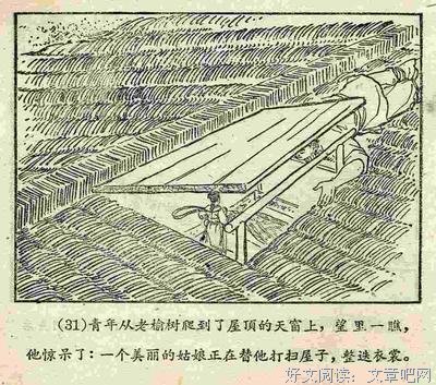 《金色的海螺》影评100字