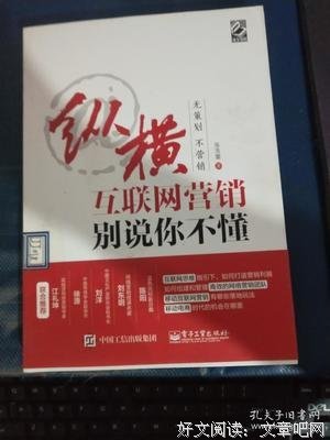 《纵横互联网营销-别说你不懂》读后感摘抄